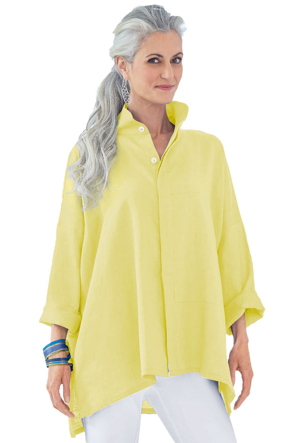 Lemon Stand Collar Button Front Blouse